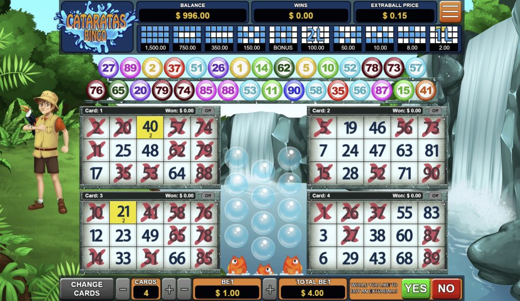 Cataratas Bingo